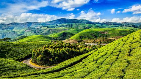 18+ Free Kerala 4K & HD Stock Videos .